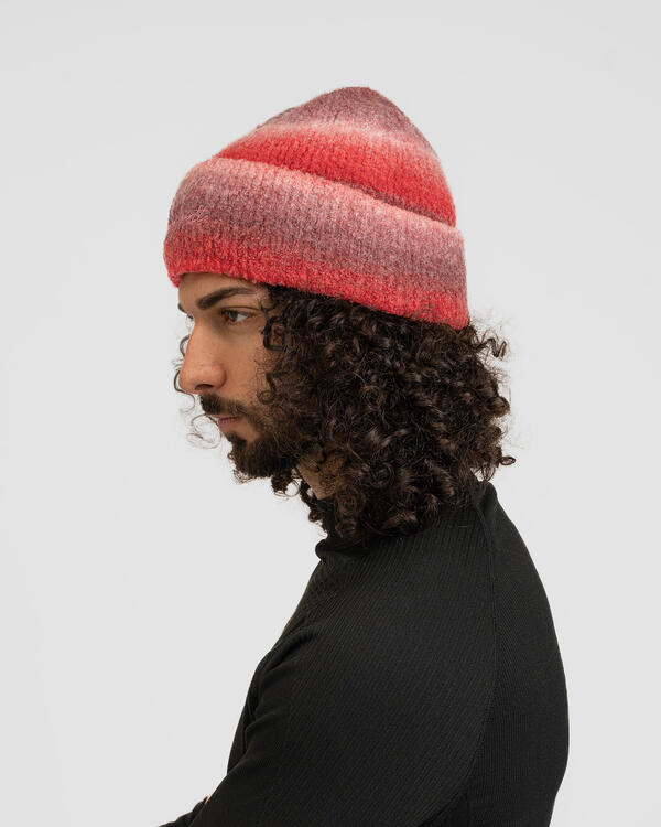 Carhartt WIP Tony Beanie | I035463.3DKXX | AFEW STORE